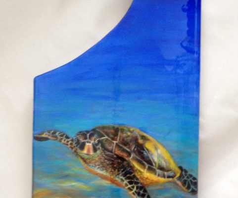 single turtle board