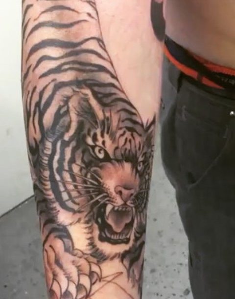 arm tiger tattoo