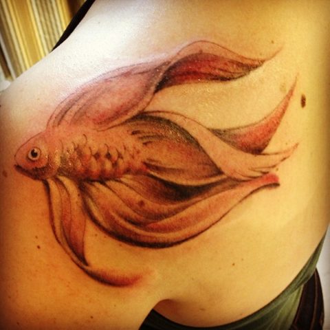 beta fish tattoo