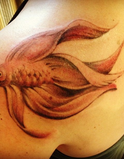 beta fish tattoo