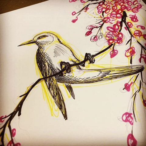 bird on tree drawing