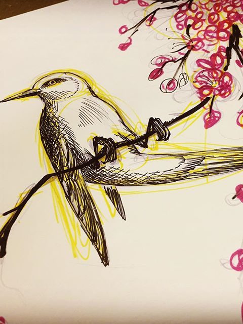 bird on tree drawing