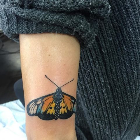 monarch butterfly arm tattoo
