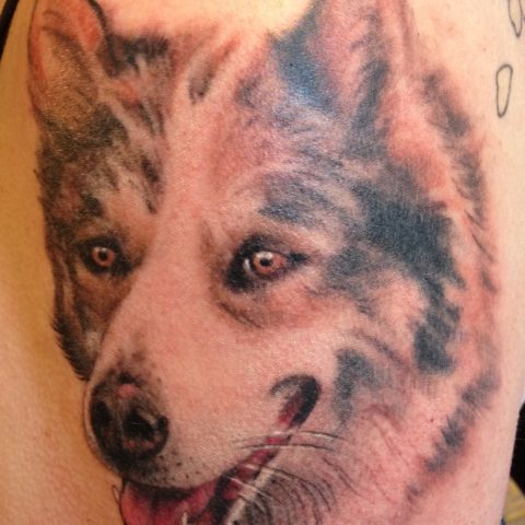 dog tattoo