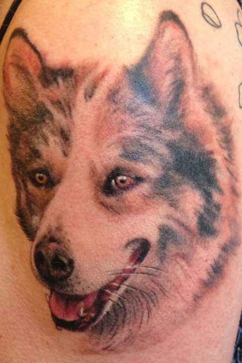 dog tattoo