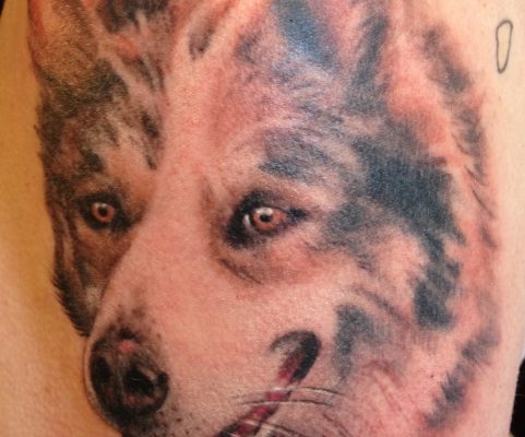 dog tattoo