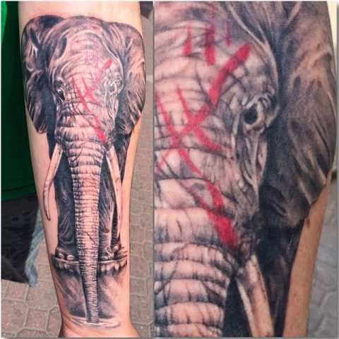 elephant tattoo