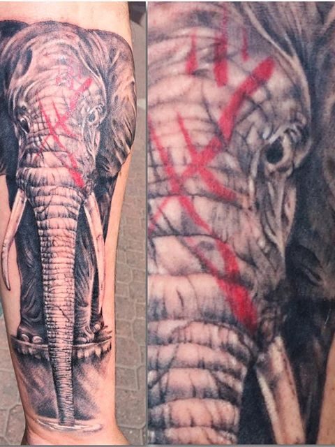 elephant tattoo