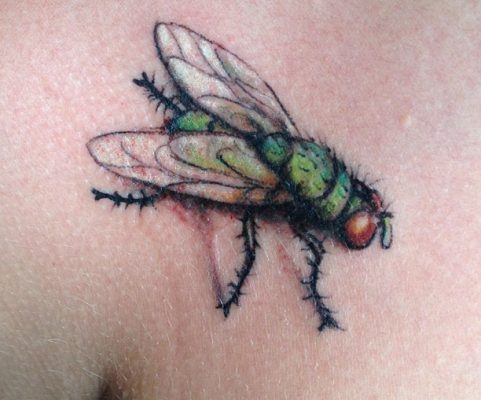 fly tattoo