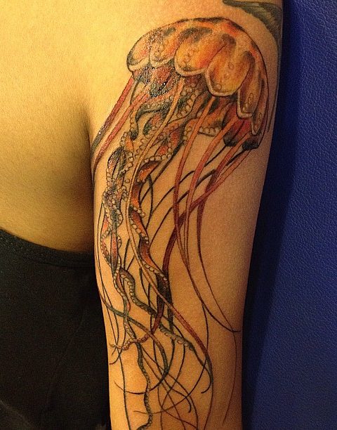 jellyfish tattoo