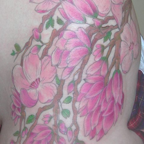 magnolia tree tattoo