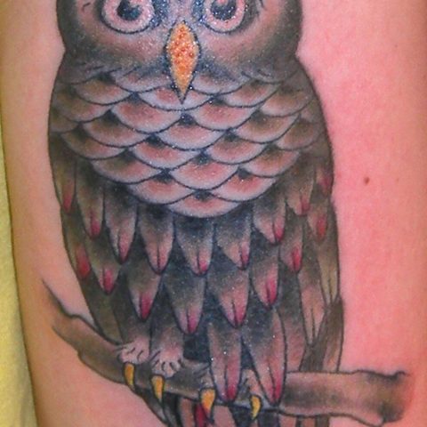 owl tattoo