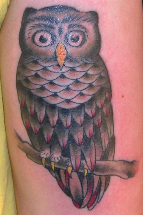 owl tattoo