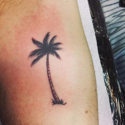 palm tree tattoo