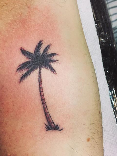 palm tree tattoo