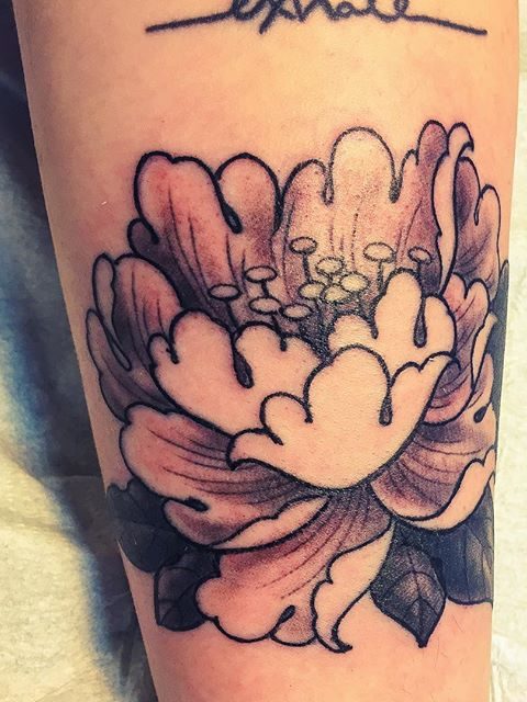 black peony tattoo