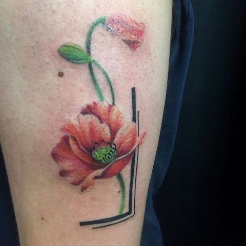 poppy tattoo