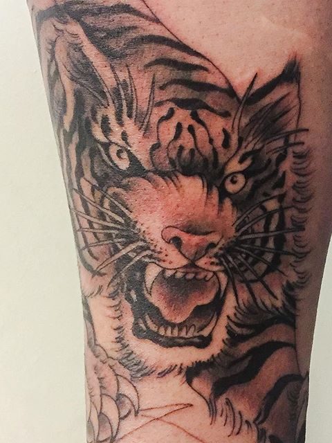 tiger tattoo