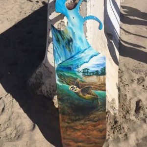 turtle duck dive skateboard