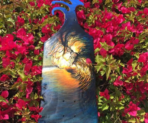 wave board sunset